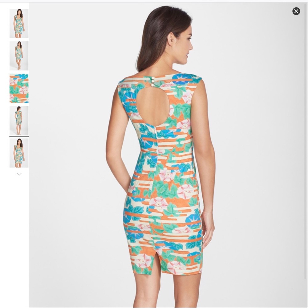 Plenty by Tracy Reese Selah morning glory dress 10